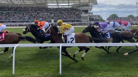 horse racing betting syndicates|Horse Syndicates 101: Everything You've Ever Wanted To Know.